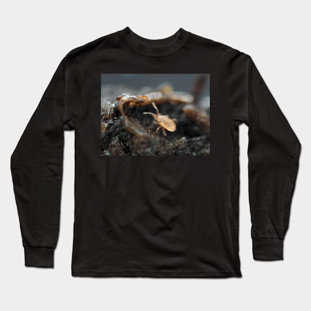 Tiny soil mite under the microscope Long Sleeve T-Shirt by SDym Photography